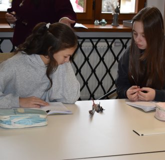 DIEŃ PISANIA PIÓREM