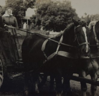 Zdęjcia oraz dokumnty od Szczepana Typka