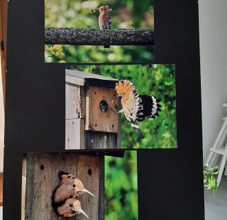 "Pszczółki" zwiedzają bibliotekę